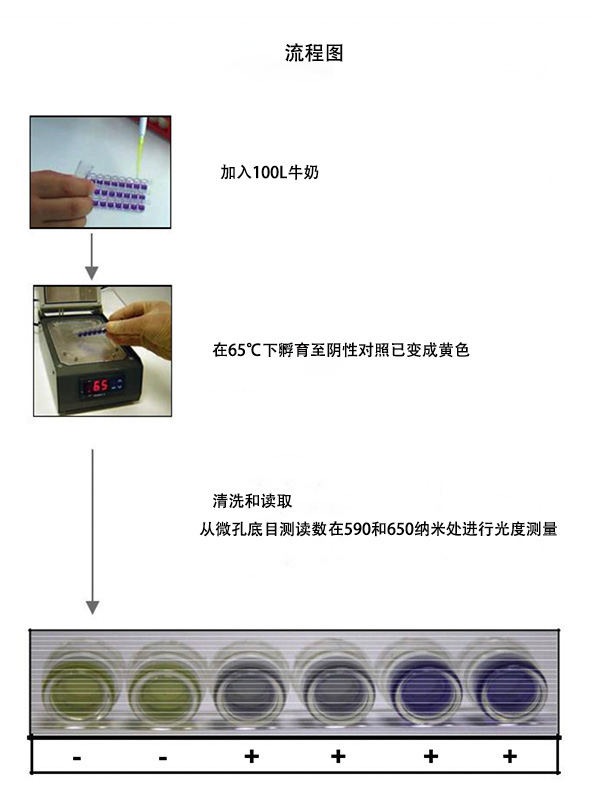 3G test kit-細節-中副本.jpg