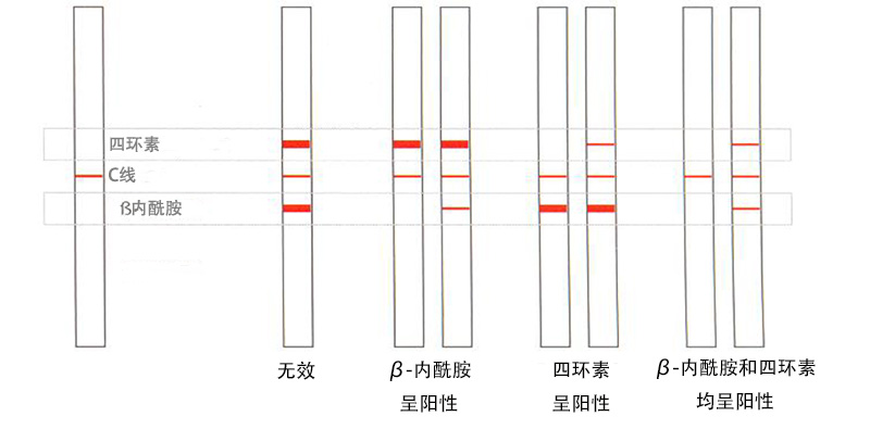 Twinsensor test kit-中文細節.jpg
